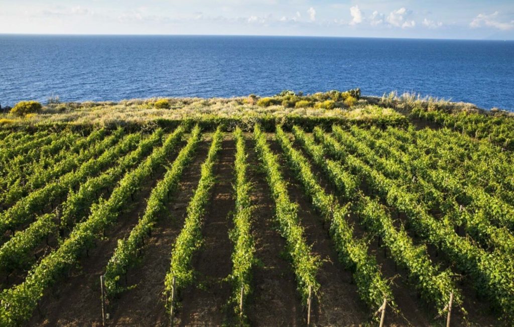 Marsala fille du soleil et du sel Vino.be