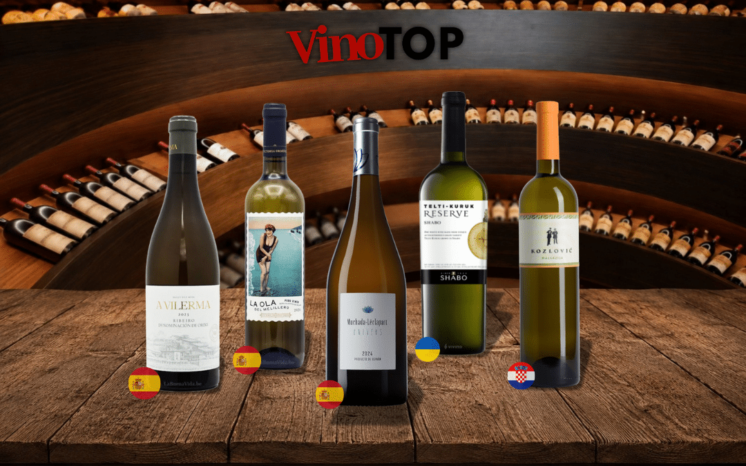 À l’abordage, toutes voiles dehors, Vino.be met le cap sur des vins marins !